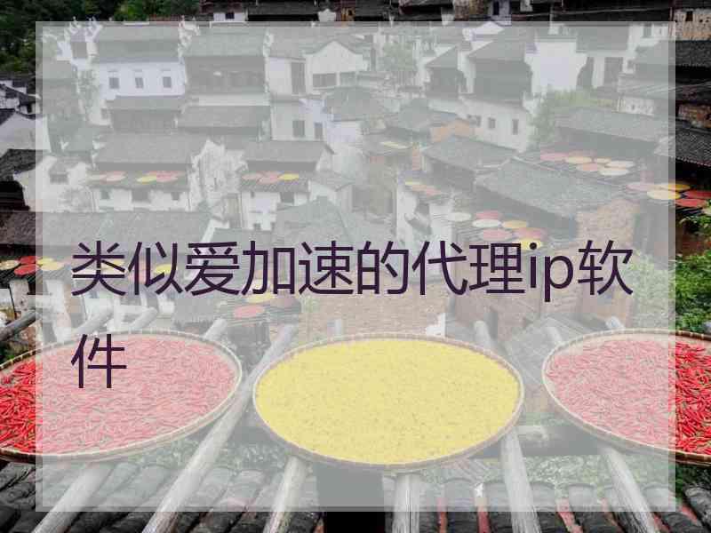 类似爱加速的代理ip软件