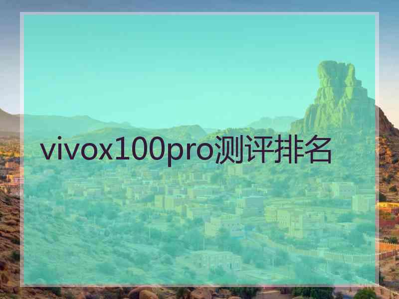 vivox100pro测评排名