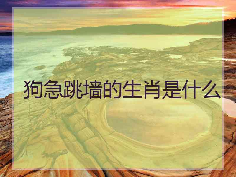 狗急跳墙的生肖是什么