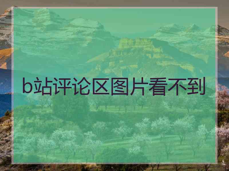 b站评论区图片看不到