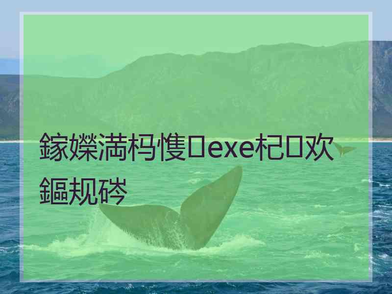 鎵嬫満杩愯exe杞欢鏂规硶