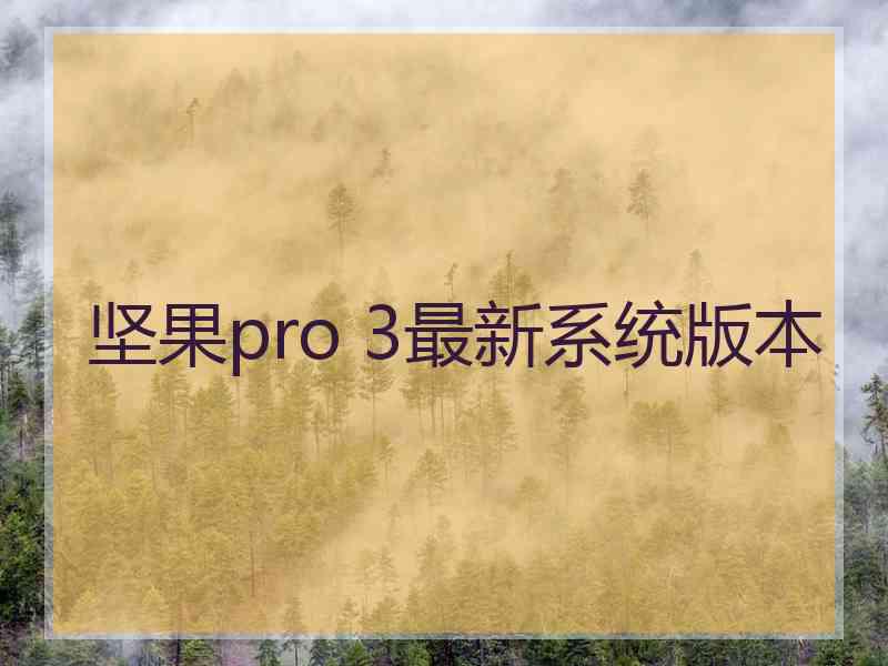 坚果pro 3最新系统版本
