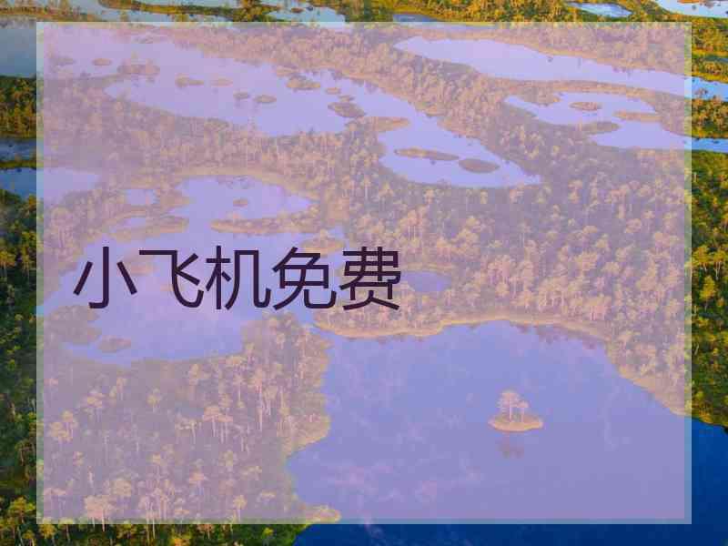 小飞机免费