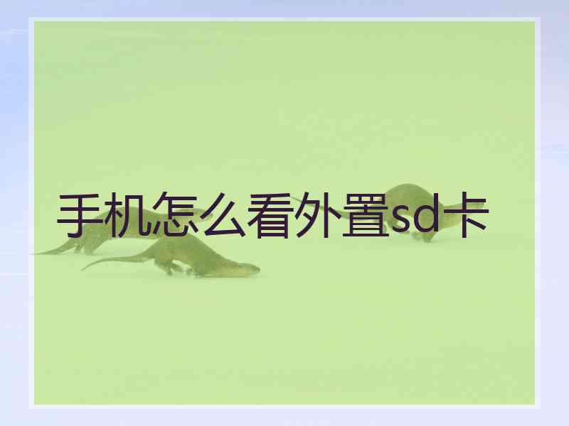 手机怎么看外置sd卡