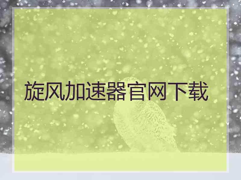 旋风加速器官网下载