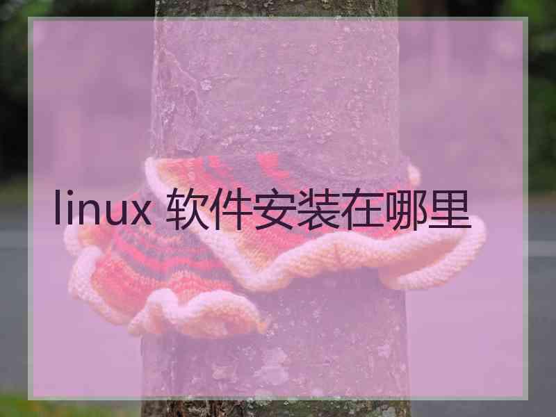 linux 软件安装在哪里
