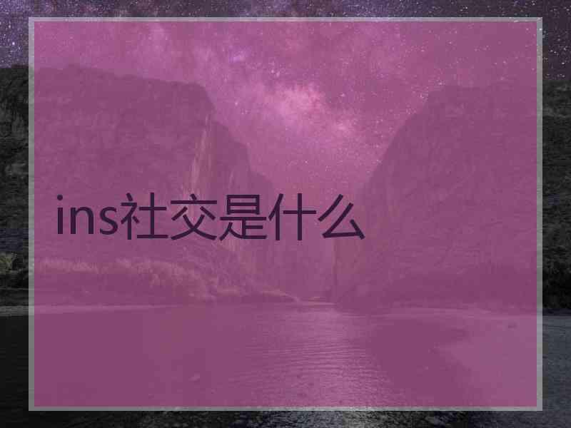 ins社交是什么