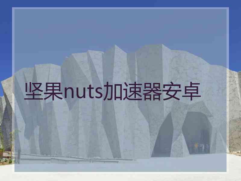 坚果nuts加速器安卓