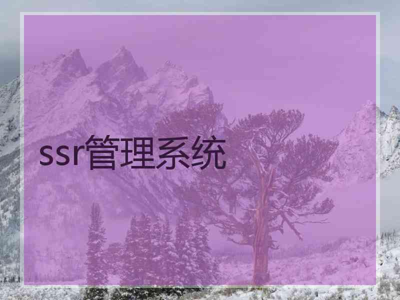 ssr管理系统