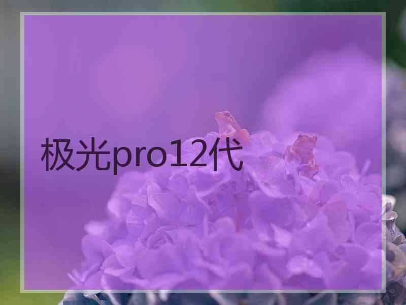 极光pro12代