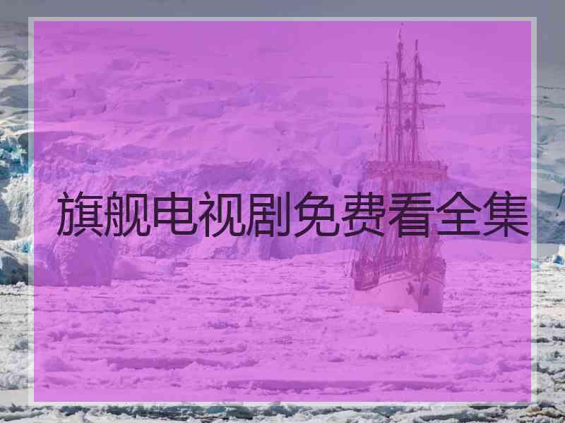 旗舰电视剧免费看全集