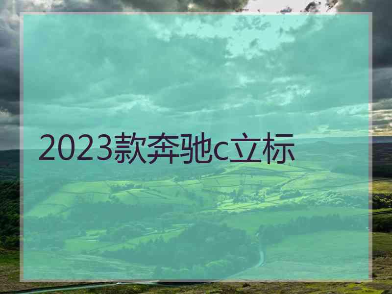 2023款奔驰c立标