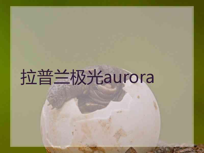 拉普兰极光aurora