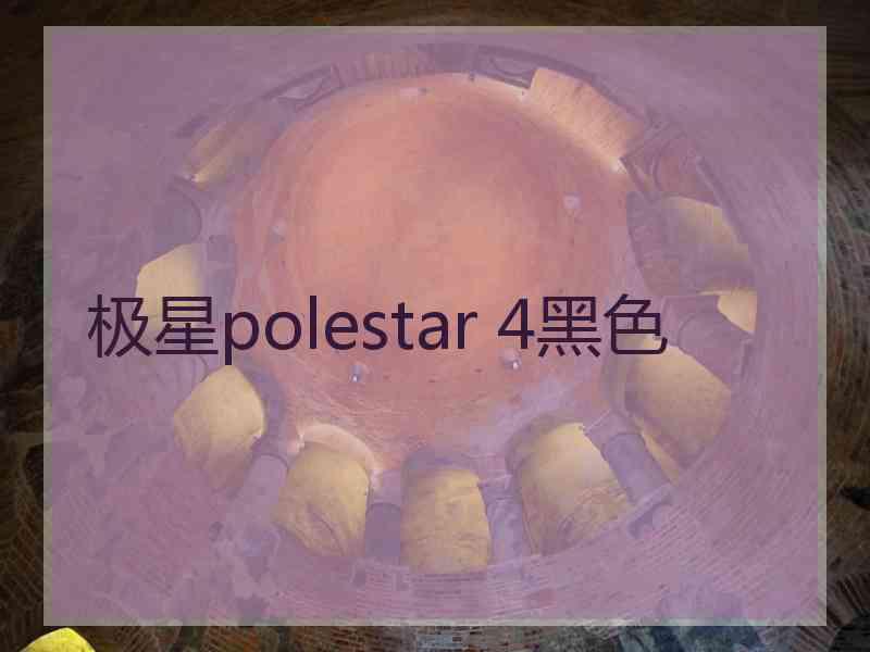 极星polestar 4黑色