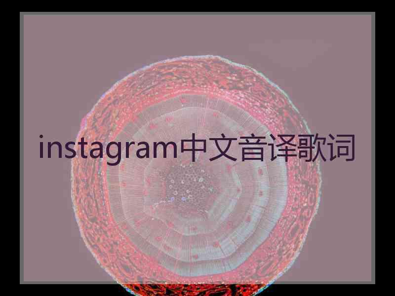 instagram中文音译歌词