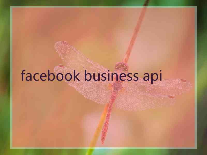 facebook business api