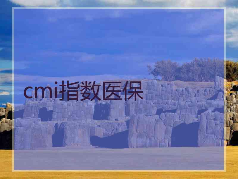 cmi指数医保