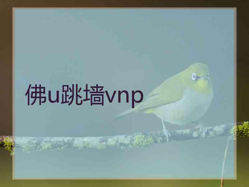佛u跳墙vnp