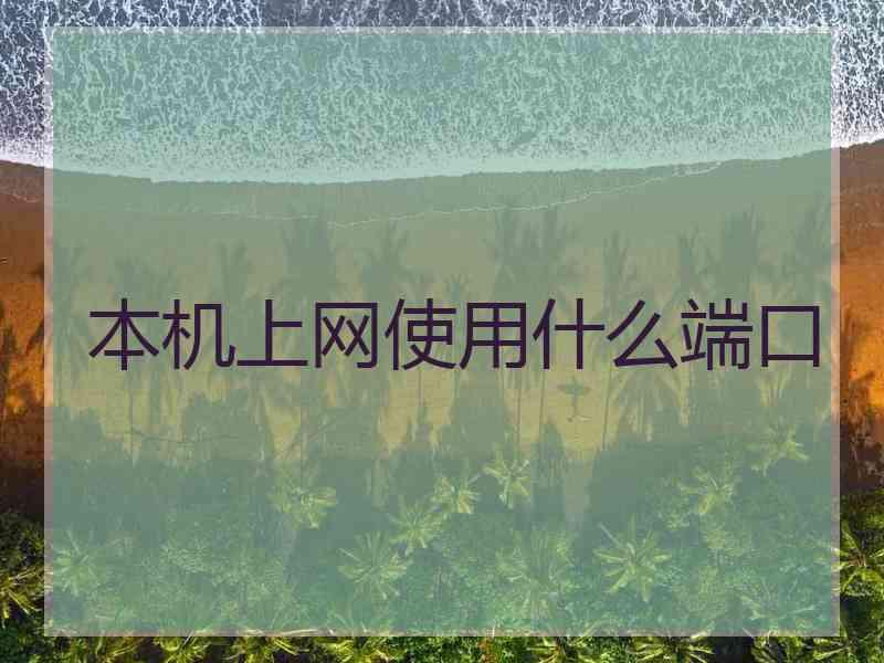 本机上网使用什么端口