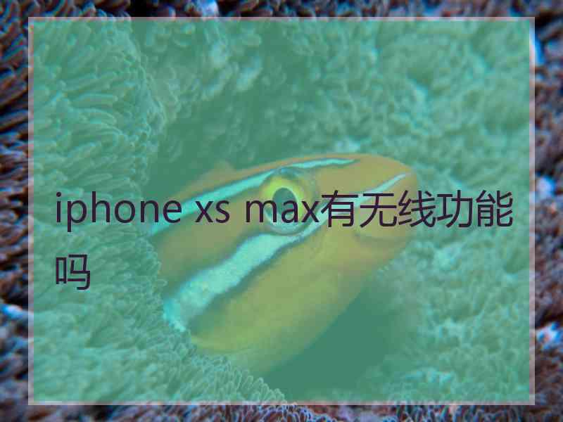 iphone xs max有无线功能吗