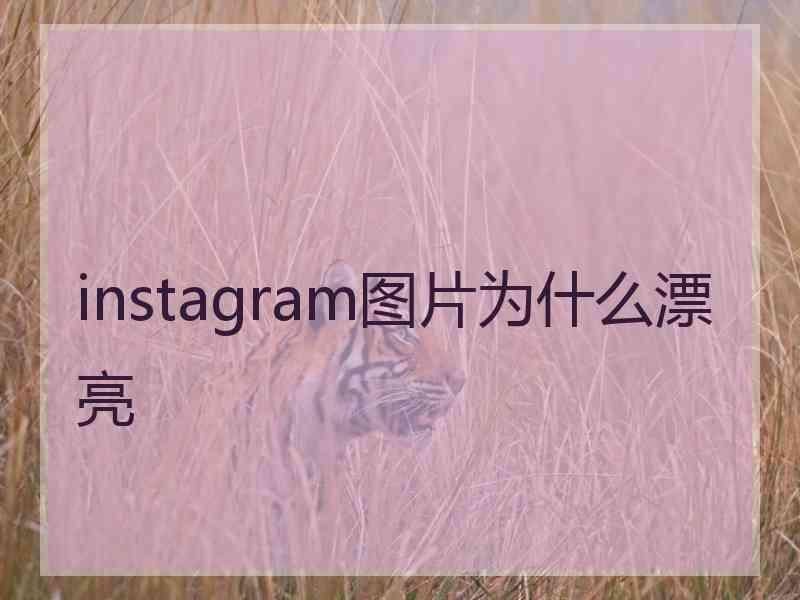 instagram图片为什么漂亮