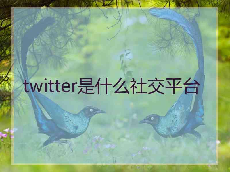 twitter是什么社交平台