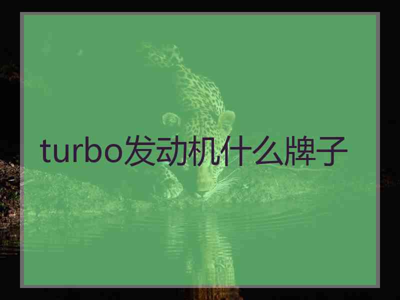 turbo发动机什么牌子
