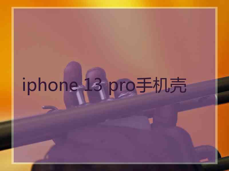 iphone 13 pro手机壳