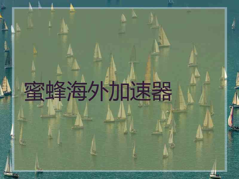 蜜蜂海外加速器