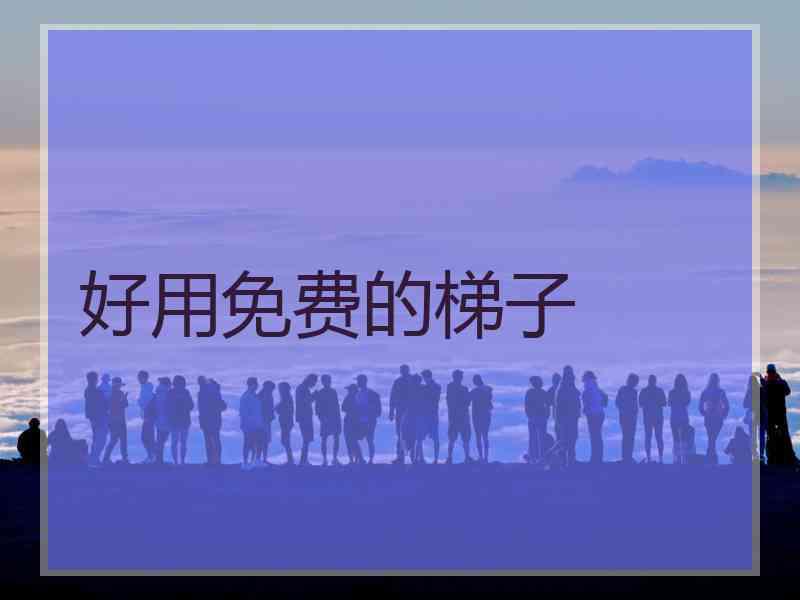 好用免费的梯子