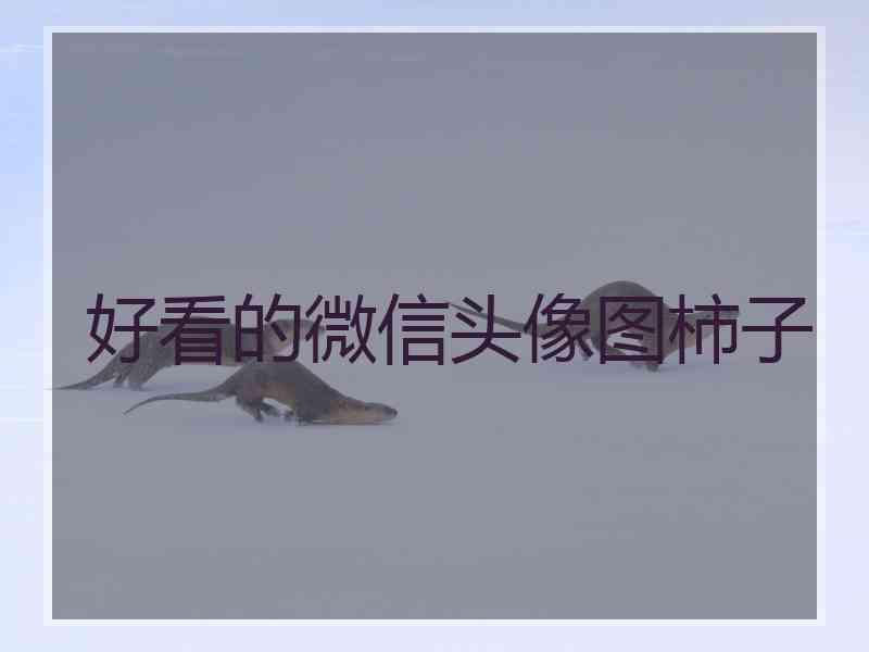 好看的微信头像图柿子