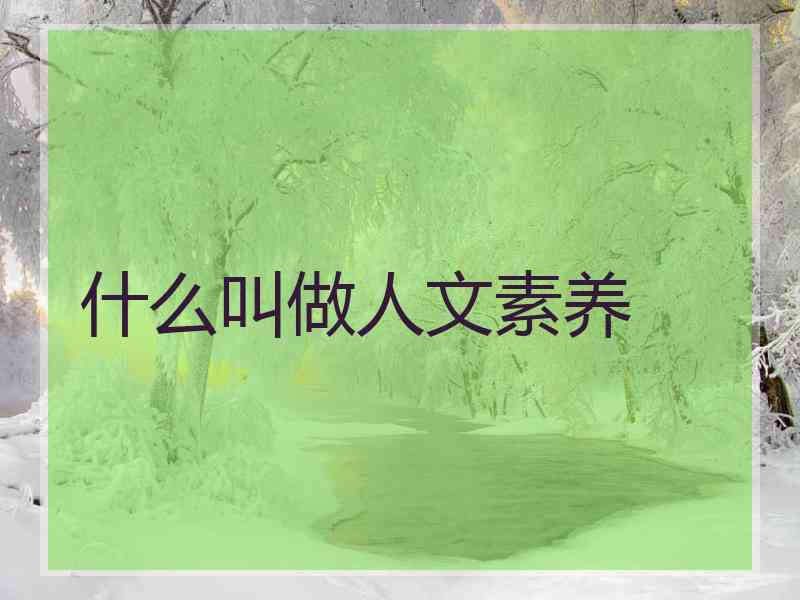 什么叫做人文素养