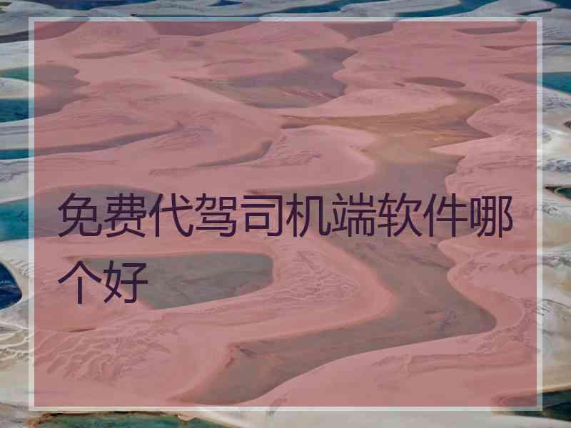 免费代驾司机端软件哪个好