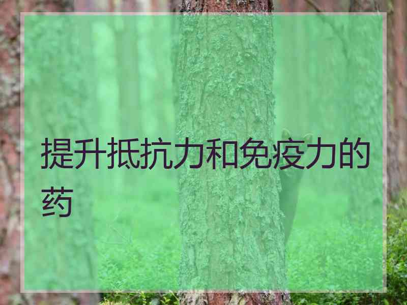 提升抵抗力和免疫力的药