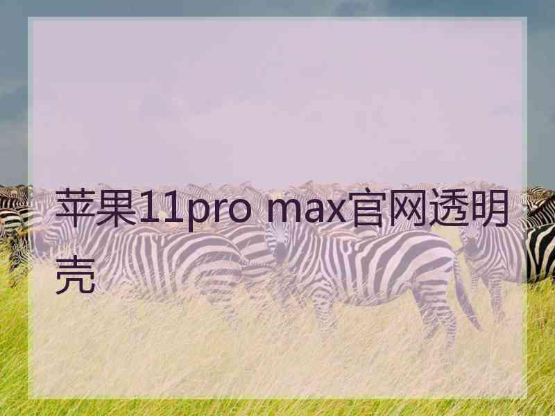 苹果11pro max官网透明壳