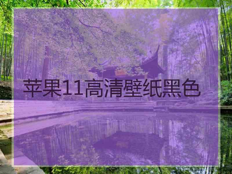 苹果11高清壁纸黑色