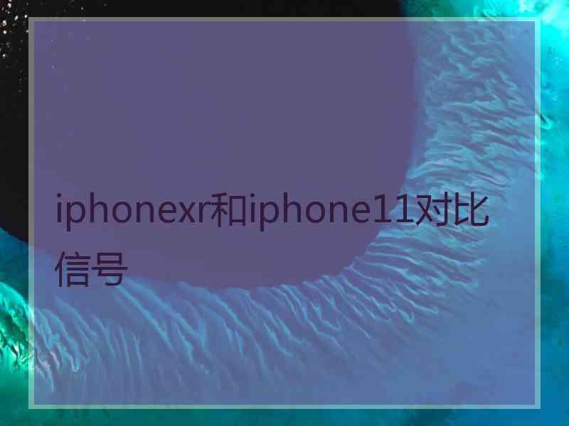 iphonexr和iphone11对比信号