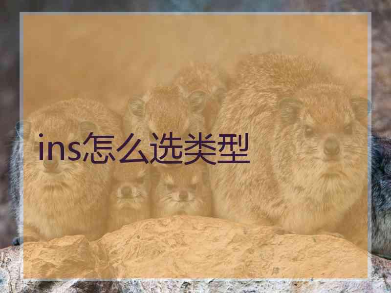 ins怎么选类型