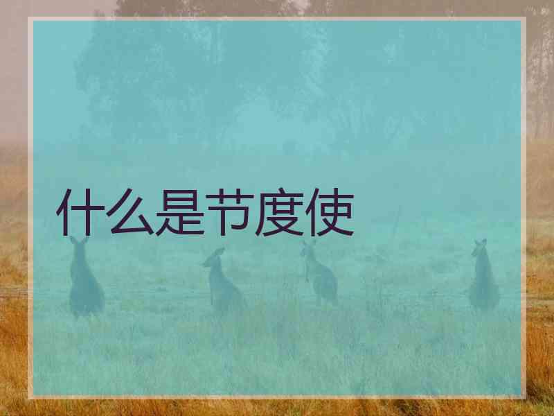 什么是节度使
