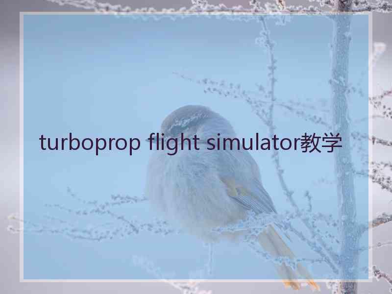 turboprop flight simulator教学