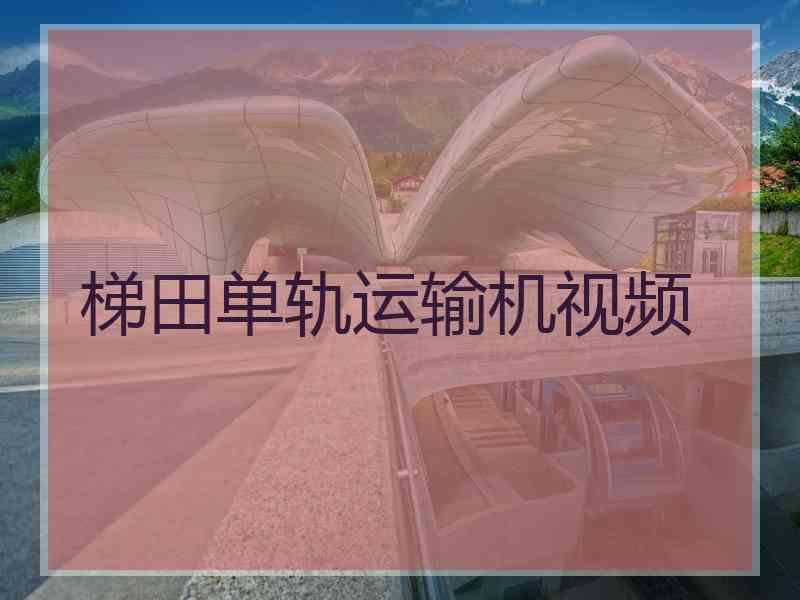 梯田单轨运输机视频