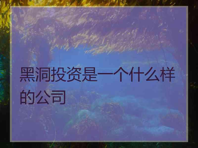 黑洞投资是一个什么样的公司