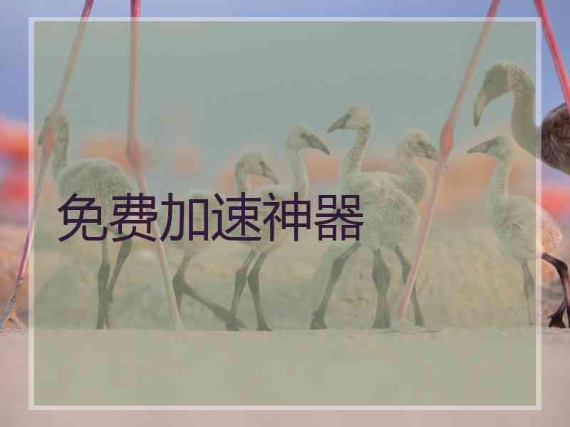 免费加速神器