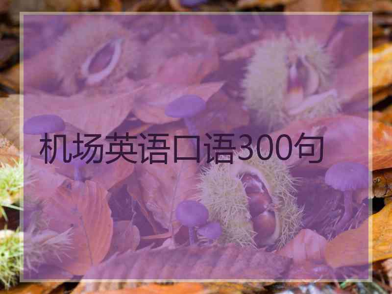 机场英语口语300句