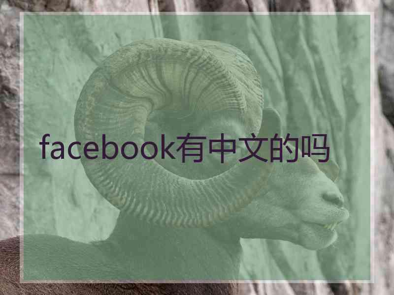 facebook有中文的吗