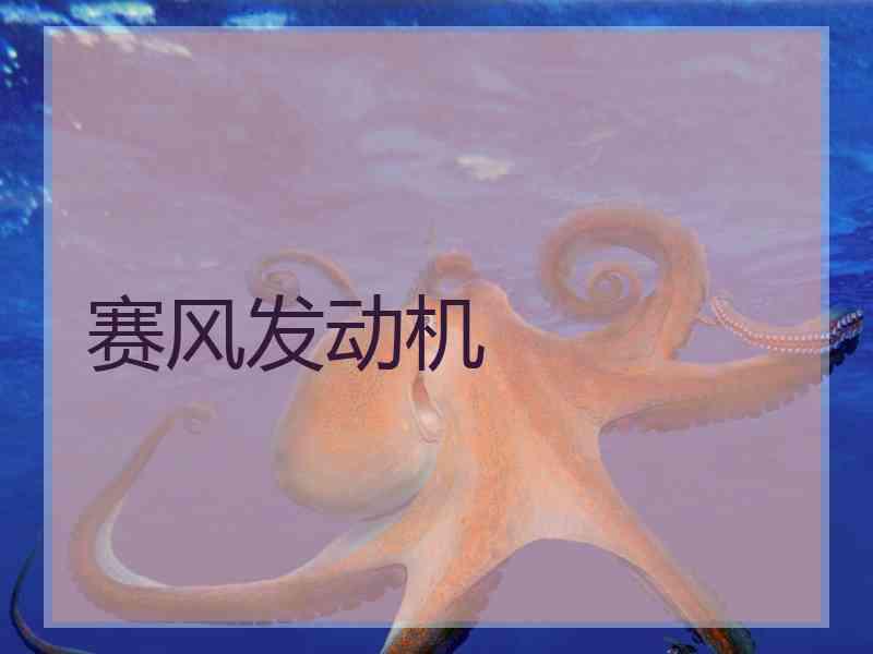 赛风发动机