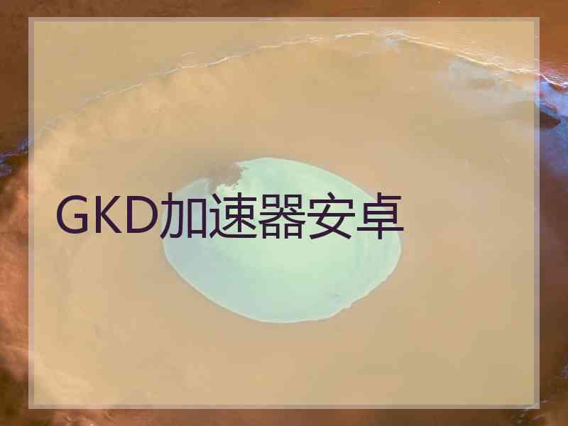 GKD加速器安卓