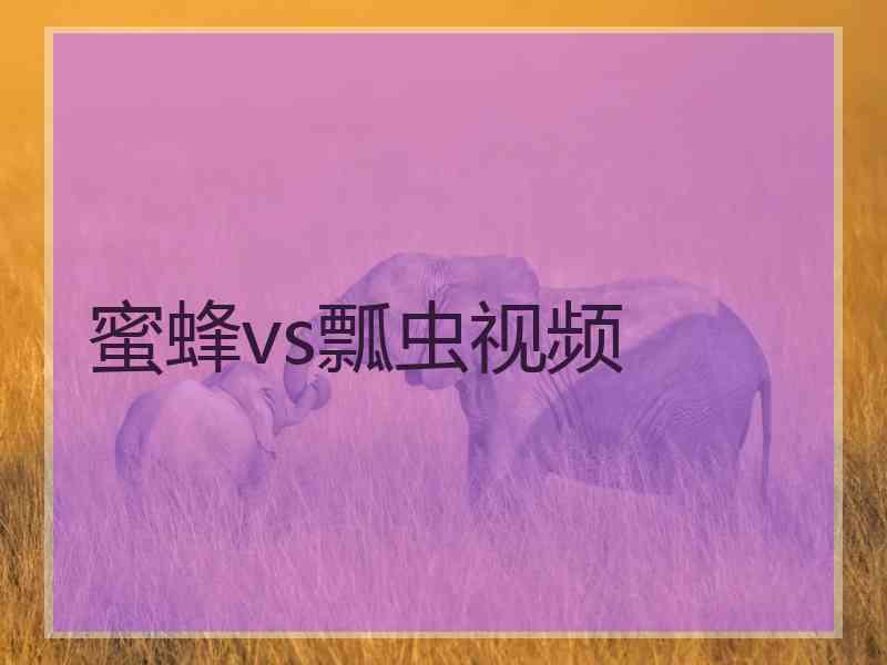 蜜蜂vs瓢虫视频