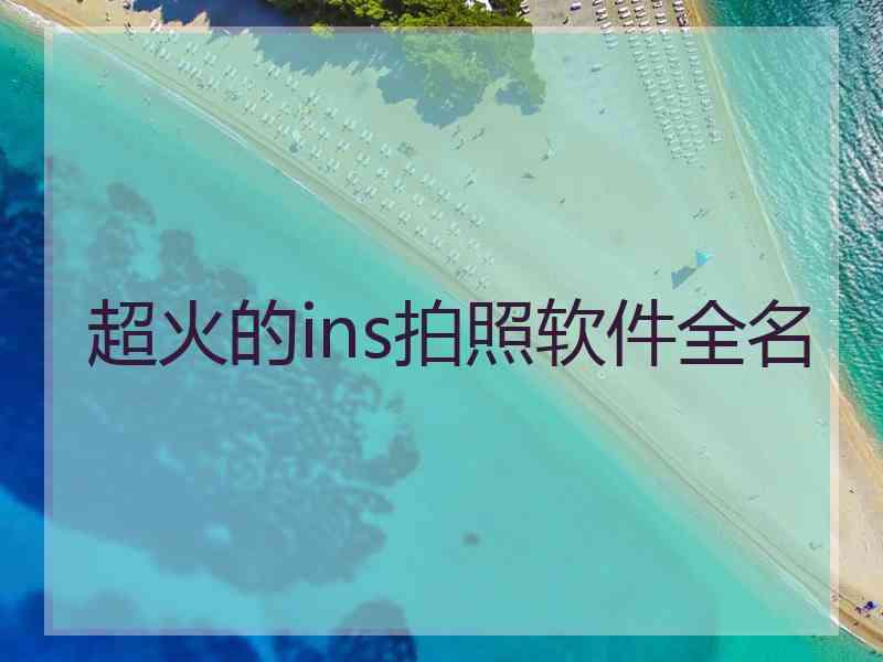 超火的ins拍照软件全名