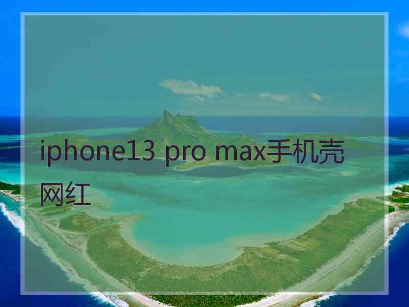 iphone13 pro max手机壳 网红